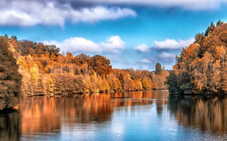 伟时电子股份有限公司新增SMT、TP生产工艺项目竣工环境保护验收报告公示